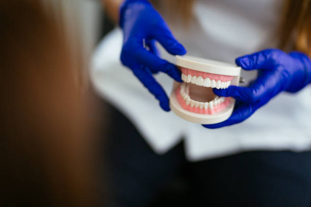 Emergency Dental Services in Salt Creek Commons, IN